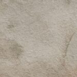 FSZ Budget Motion greyl 60×60