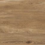 FSZ Selva Amazzonia 120×40