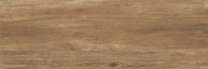 FSZ Selva Amazzonia 120×40