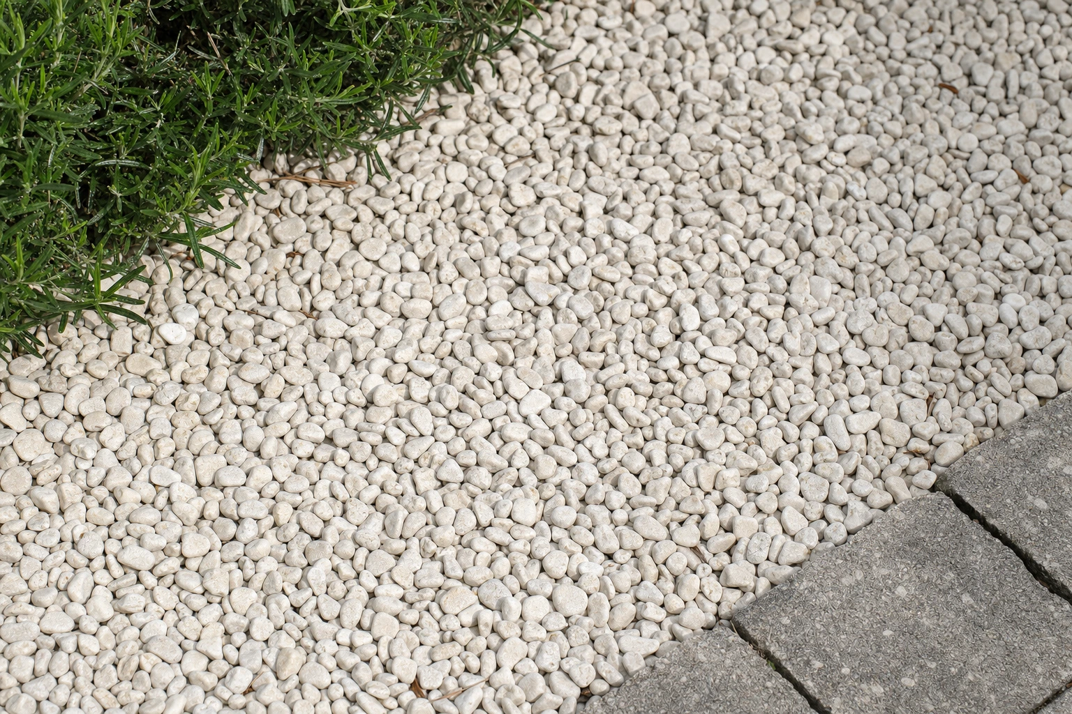 Moodbild von Botticino Boules d'Or Rundkies